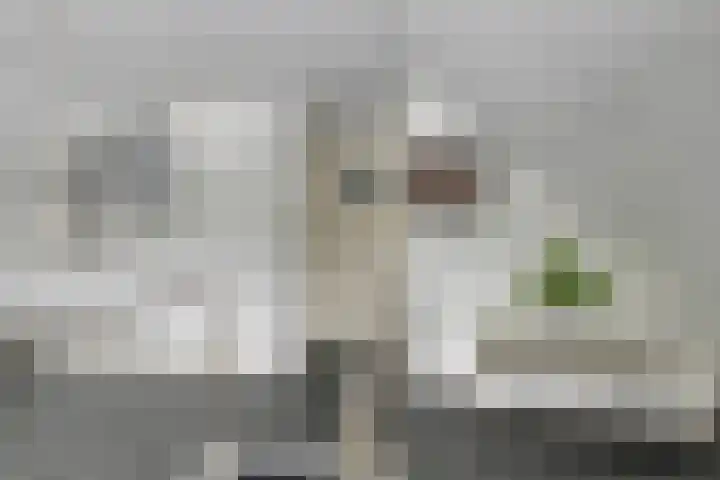 Beeklaan 3 A Aalten thumbnail 31