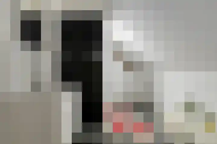 Beeklaan 3 A Aalten thumbnail 34
