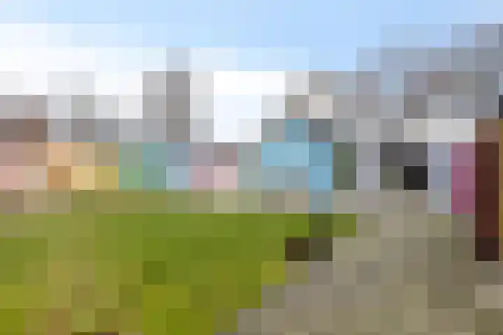 Beeklaan 3 A Aalten thumbnail 38