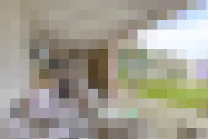 Beeklaan 3 A Aalten thumbnail 41