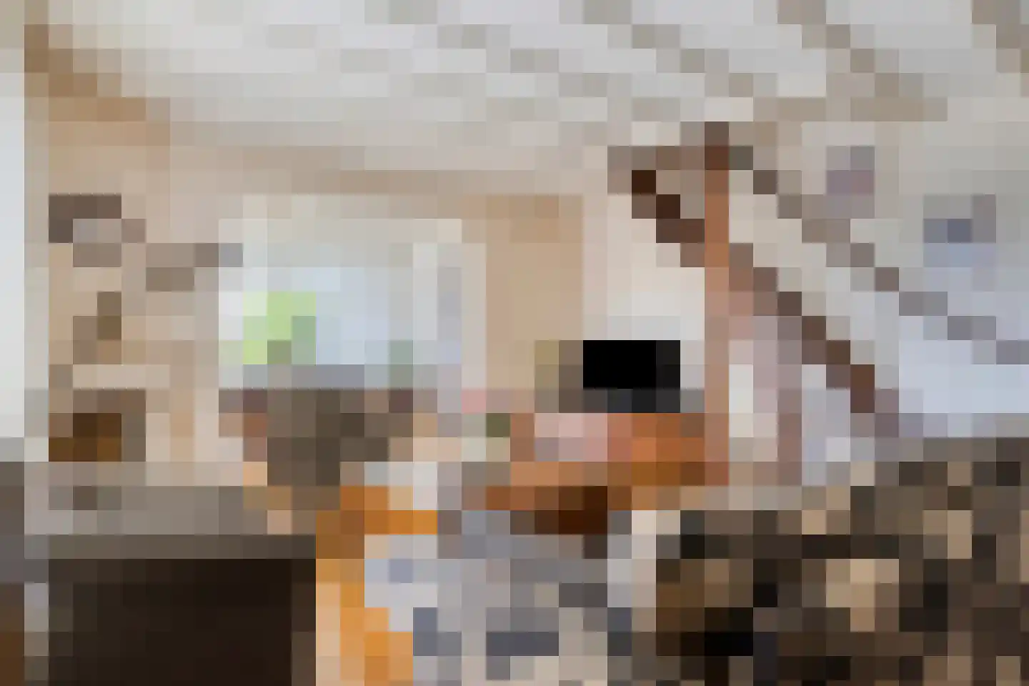 Beeklaan 3 De Zilk thumbnail 14