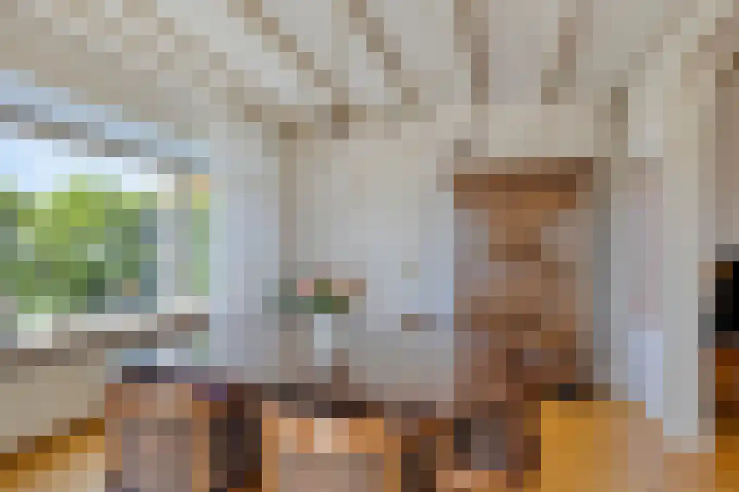 Beeklaan 3 De Zilk thumbnail 18