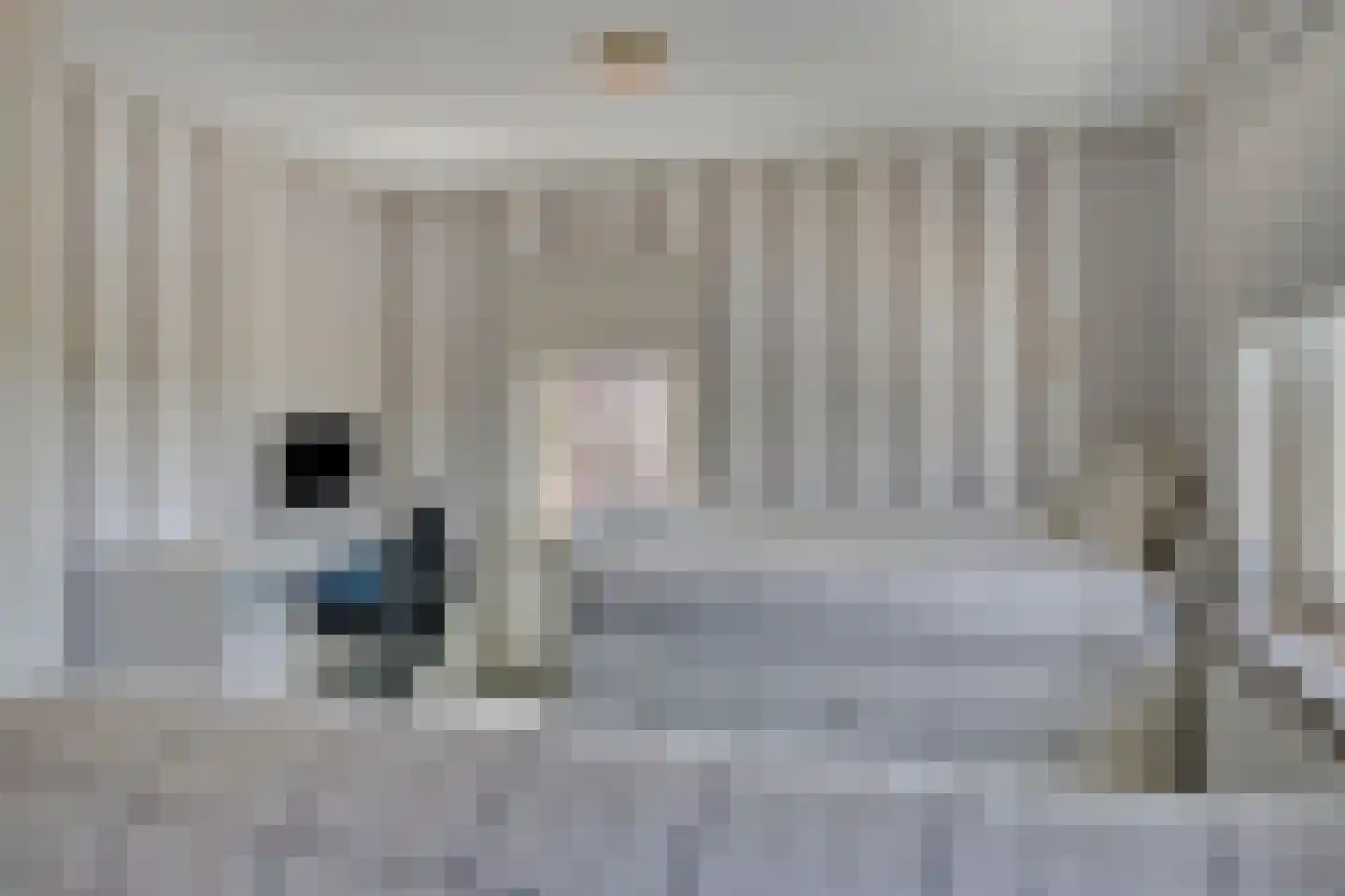 Beeklaan 3 De Zilk thumbnail 36