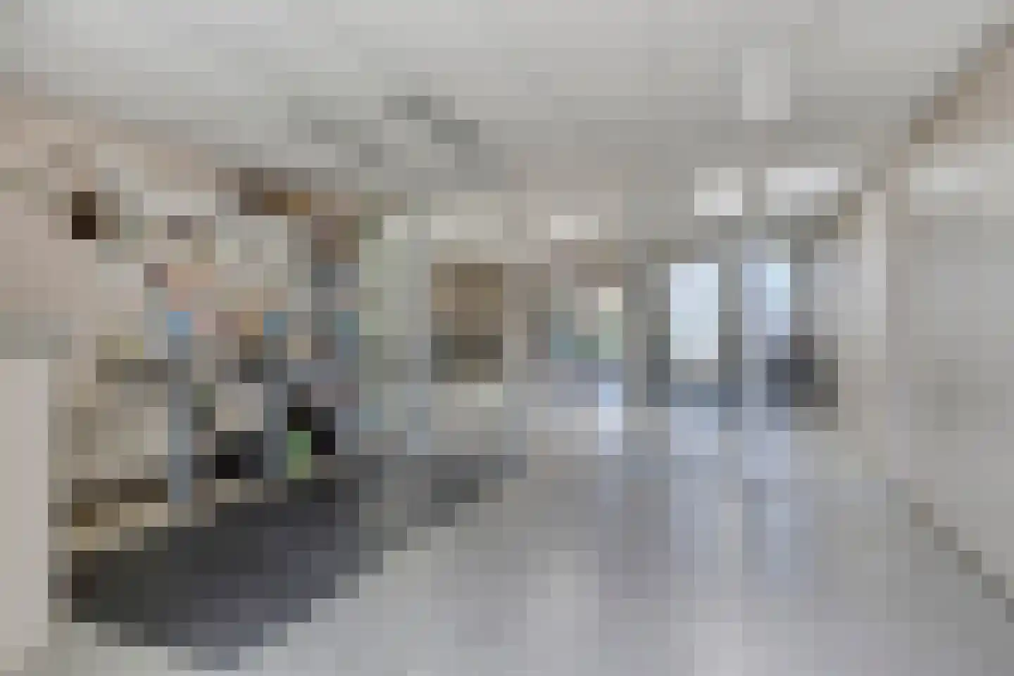 Beeklaan 3 De Zilk thumbnail 40