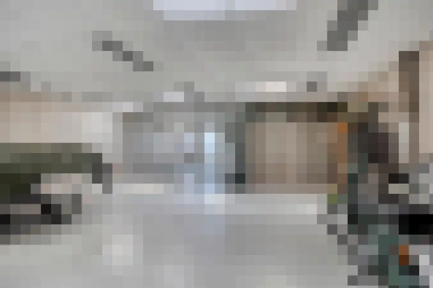 Beeklaan 3 De Zilk thumbnail 43