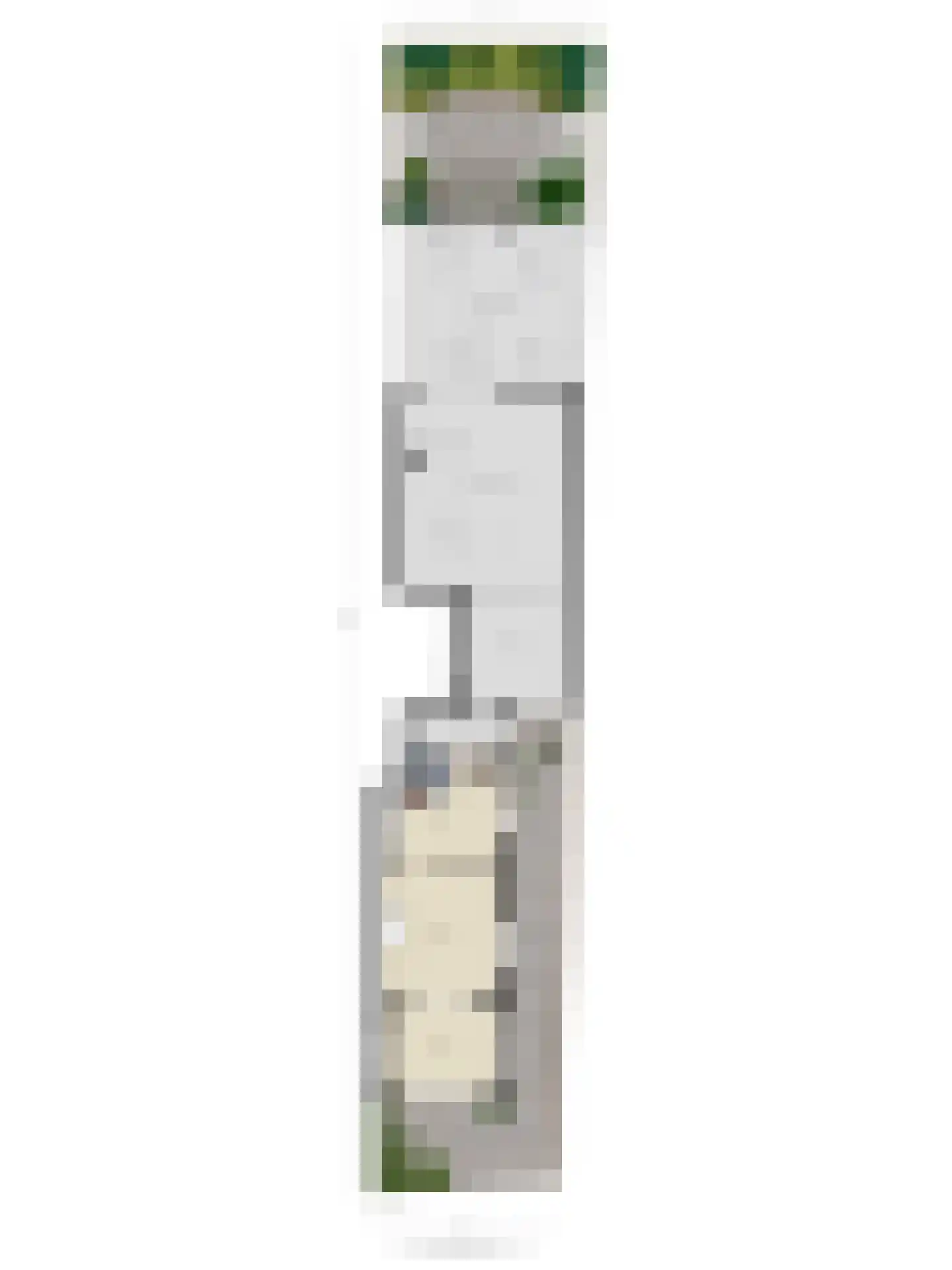 Beeklaan 3 De Zilk thumbnail 57