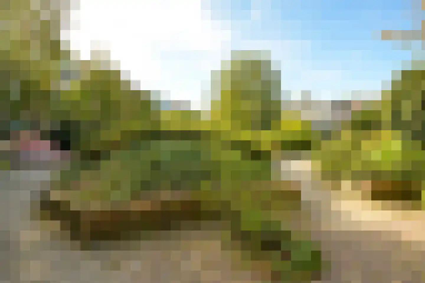 Beeklaan 307 A Den Haag thumbnail 32