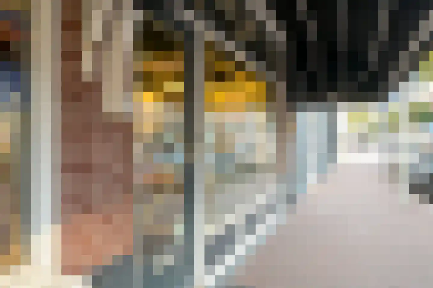 Beeklaan 307 A Den Haag thumbnail 34