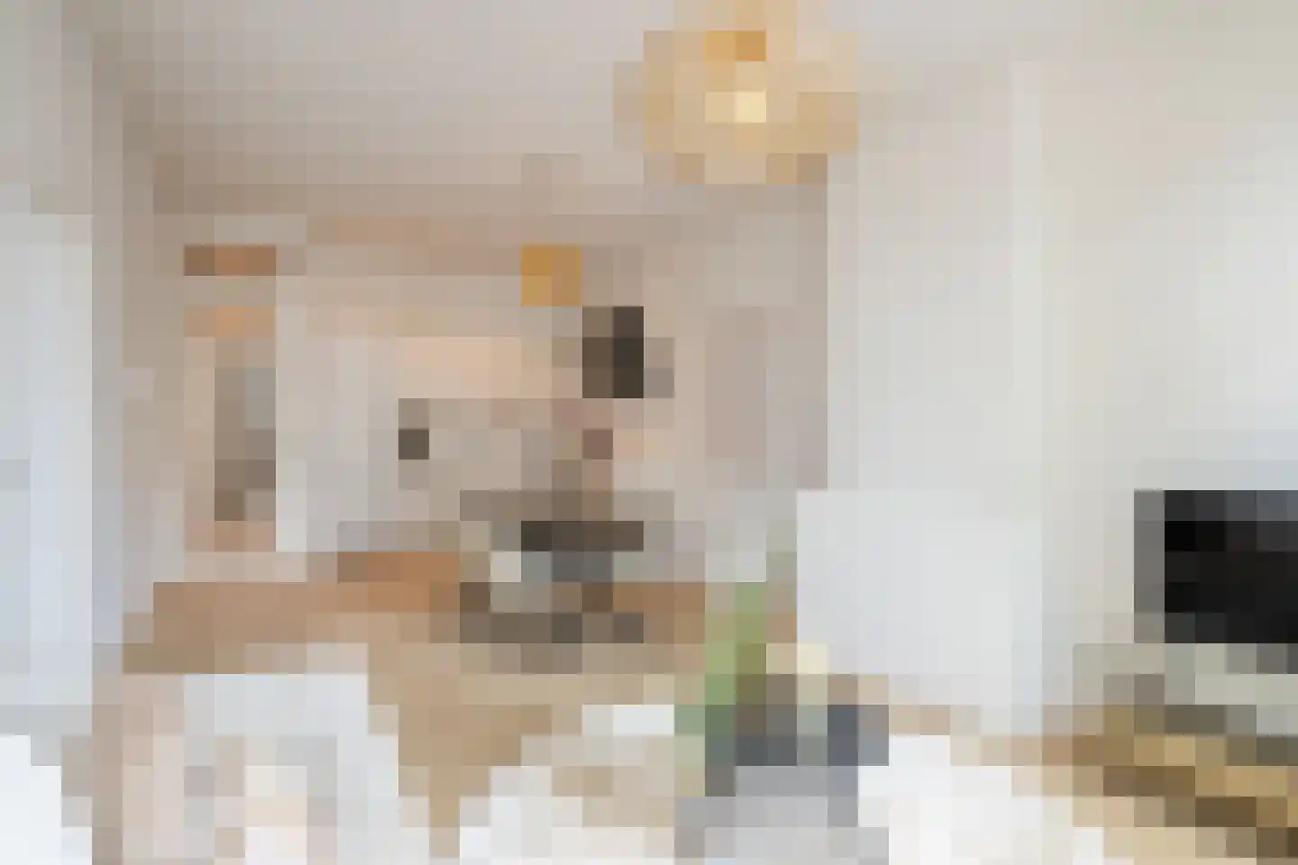 Beeklaan 323 Den Haag thumbnail 8