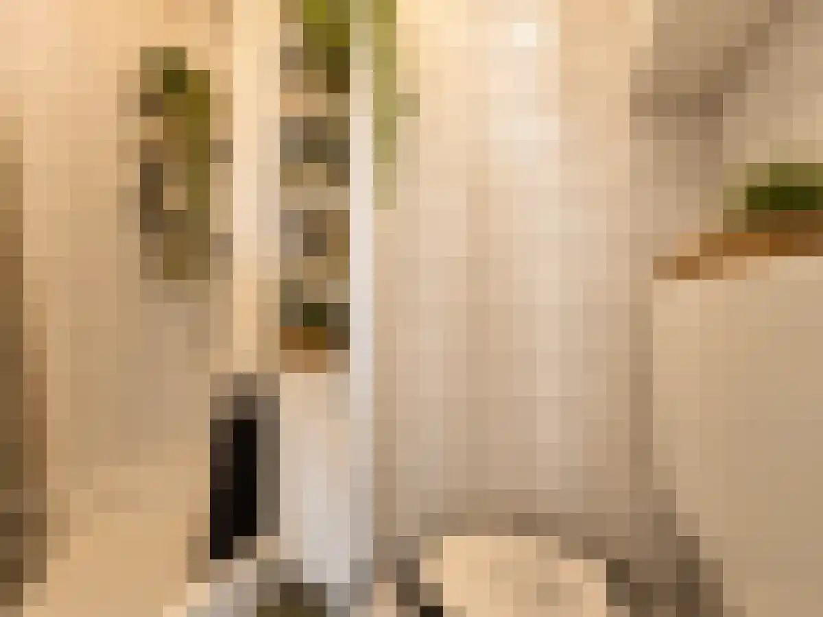 Beeklaan 343 A Den Haag thumbnail 4