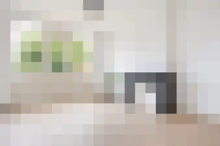 Beeklaan 345 C Den Haag thumbnail 25