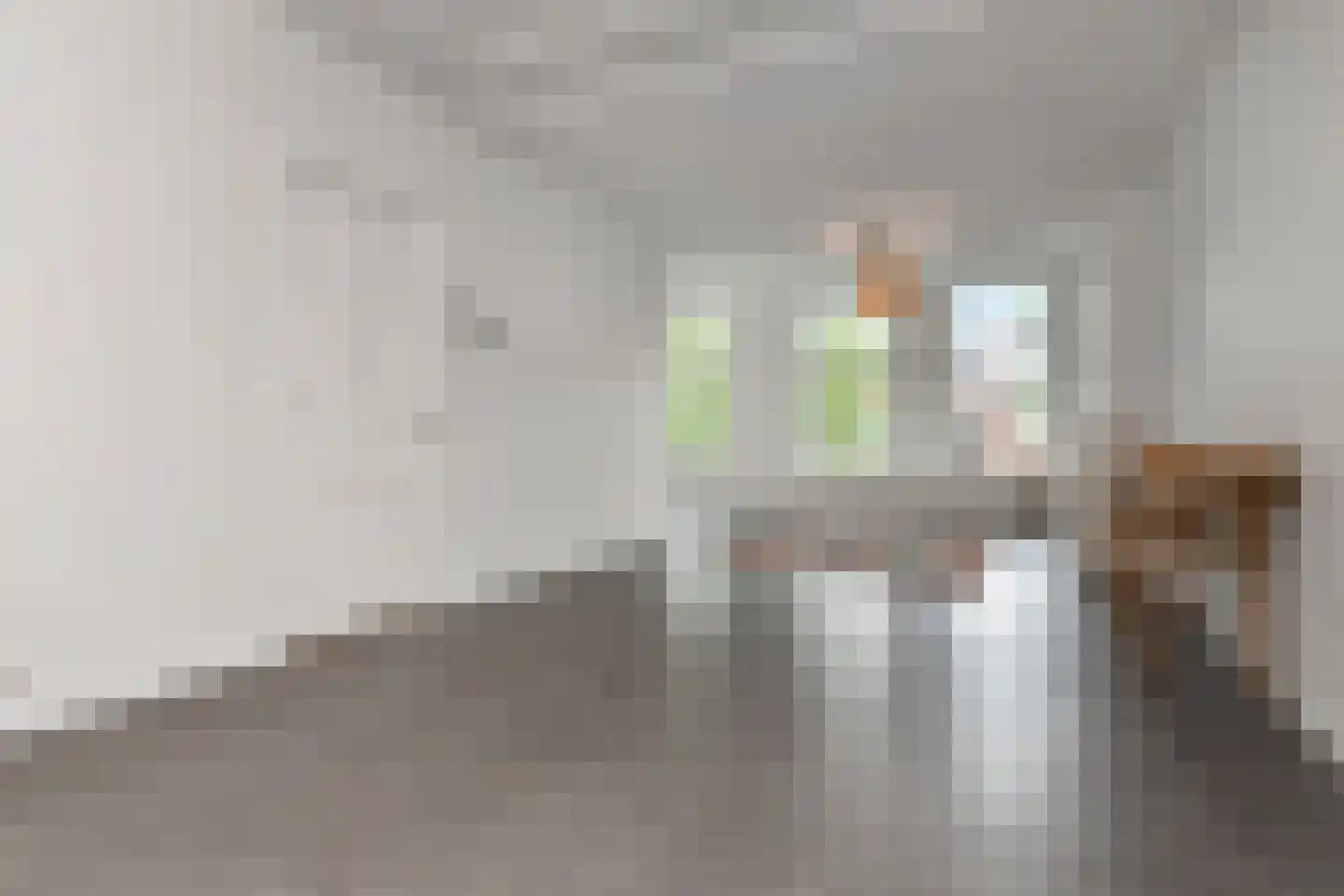 Beeklaan 360 Den Haag thumbnail 22