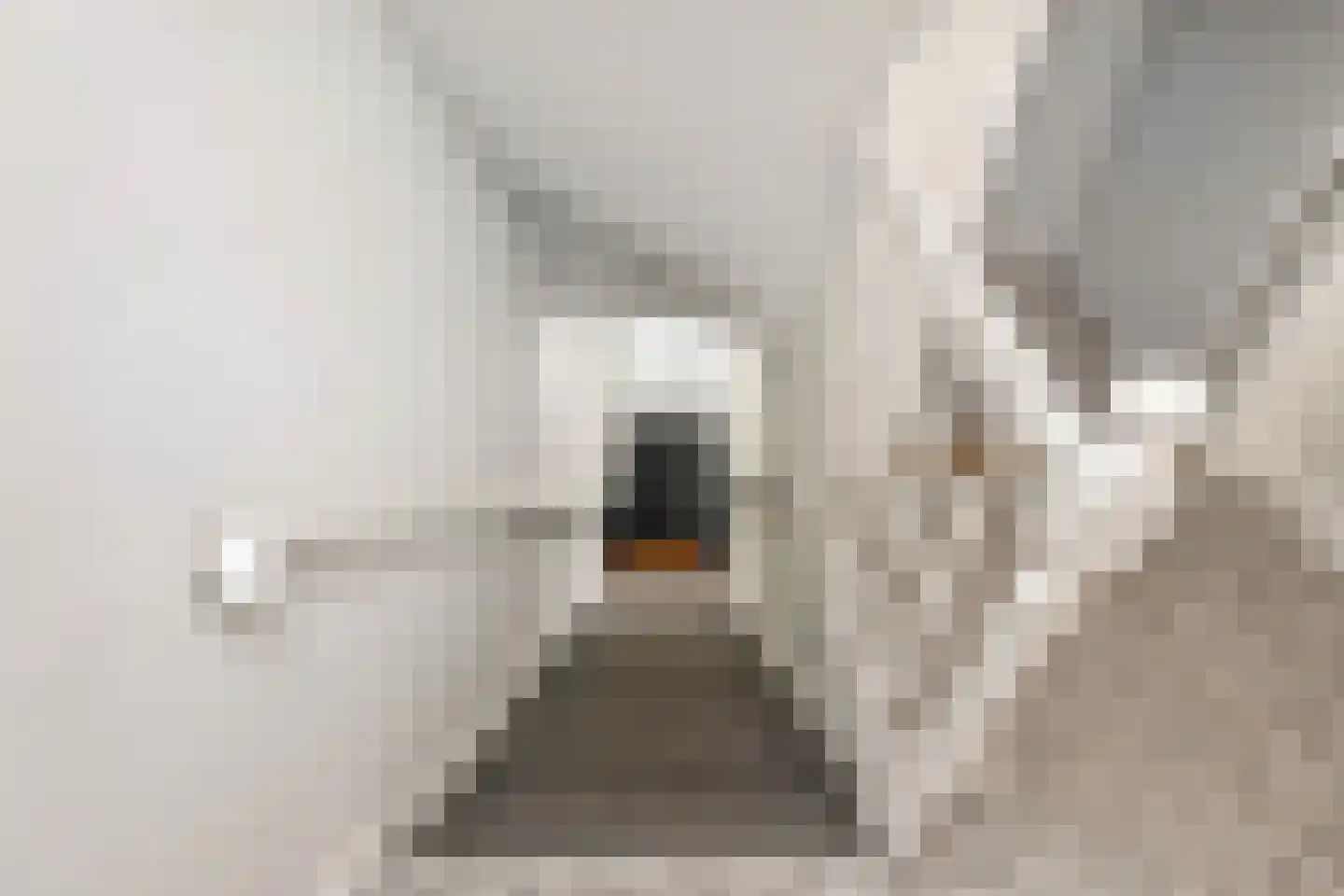 Beeklaan 360 Den Haag thumbnail 46