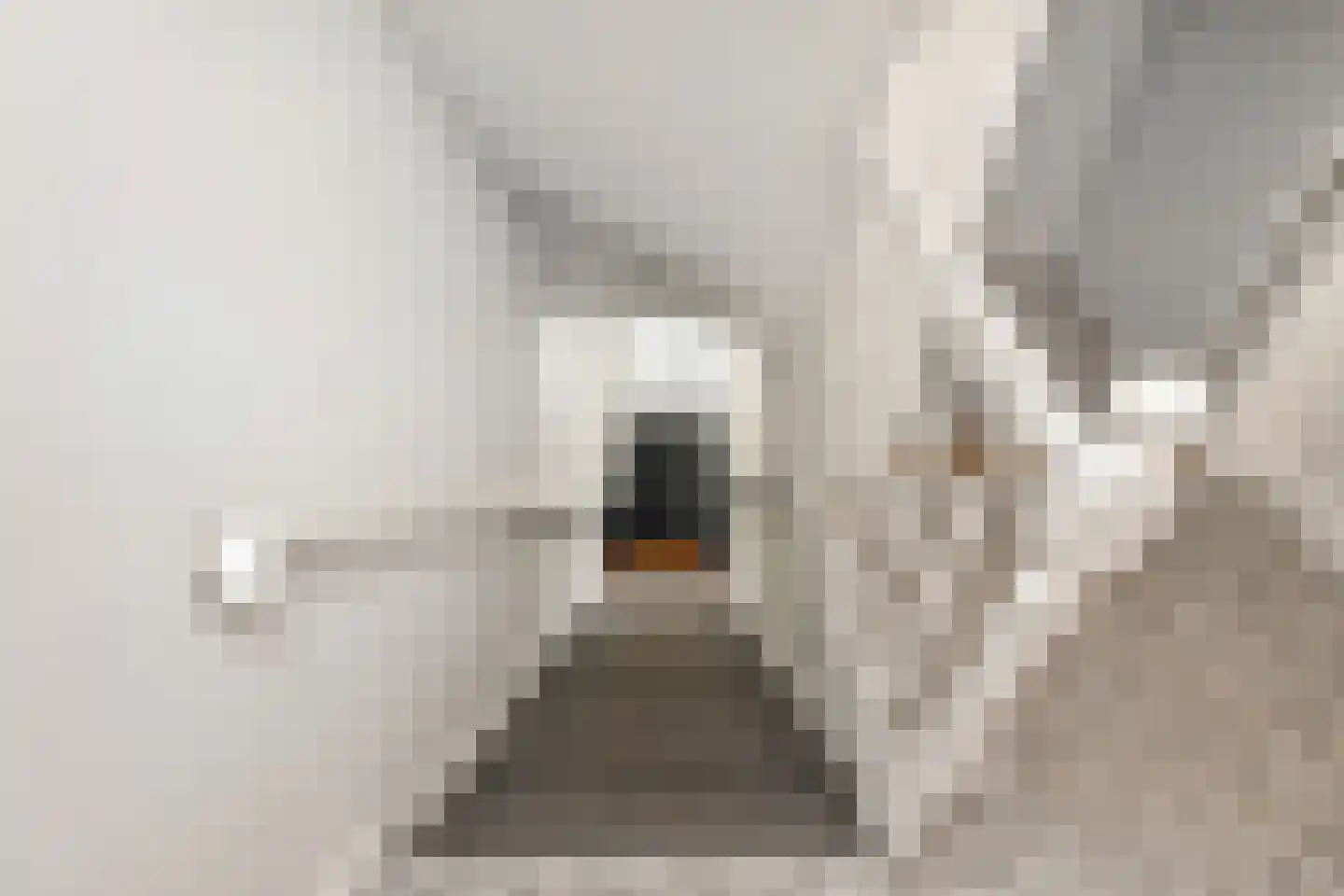 Beeklaan 360 Den Haag thumbnail 47