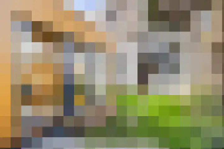 Beeklaan 361 A Den Haag thumbnail 25