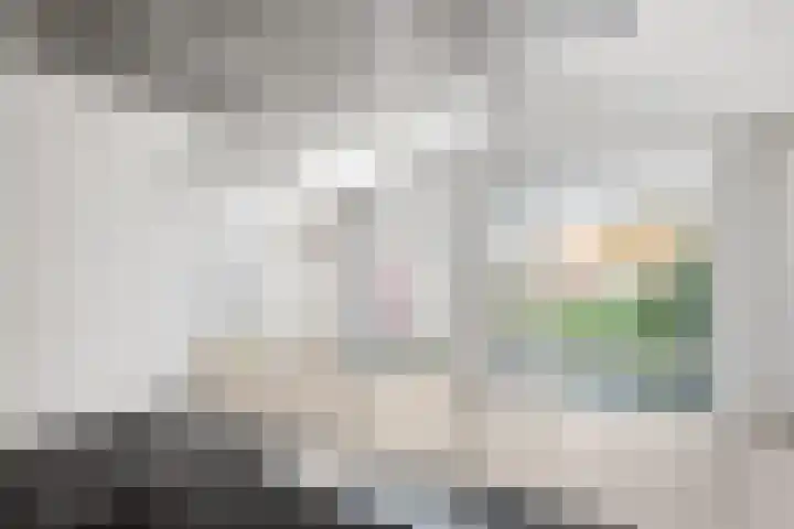 Beeklaan 4 De Zilk thumbnail 11