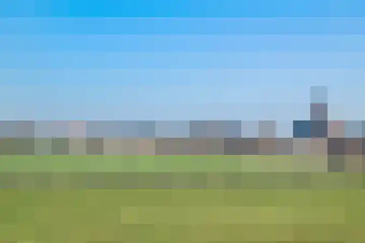Beeklaan 4 De Zilk foto 2
