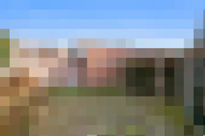 Beeklaan 4 De Zilk thumbnail 35