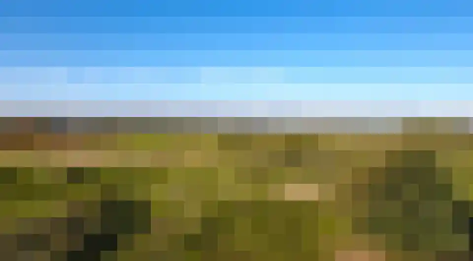 Beeklaan 4 De Zilk thumbnail 45