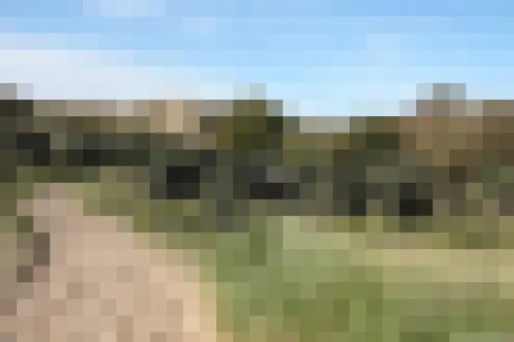 Beeklaan 4 De Zilk thumbnail 46