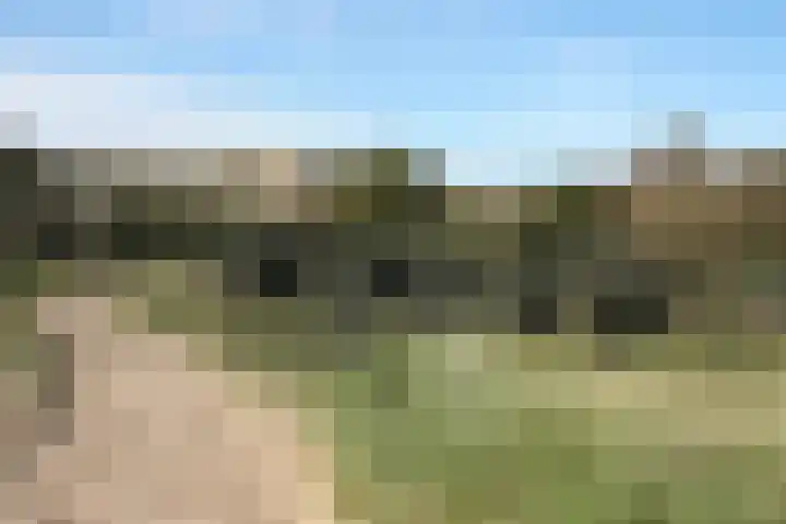 Beeklaan 4 De Zilk thumbnail 46