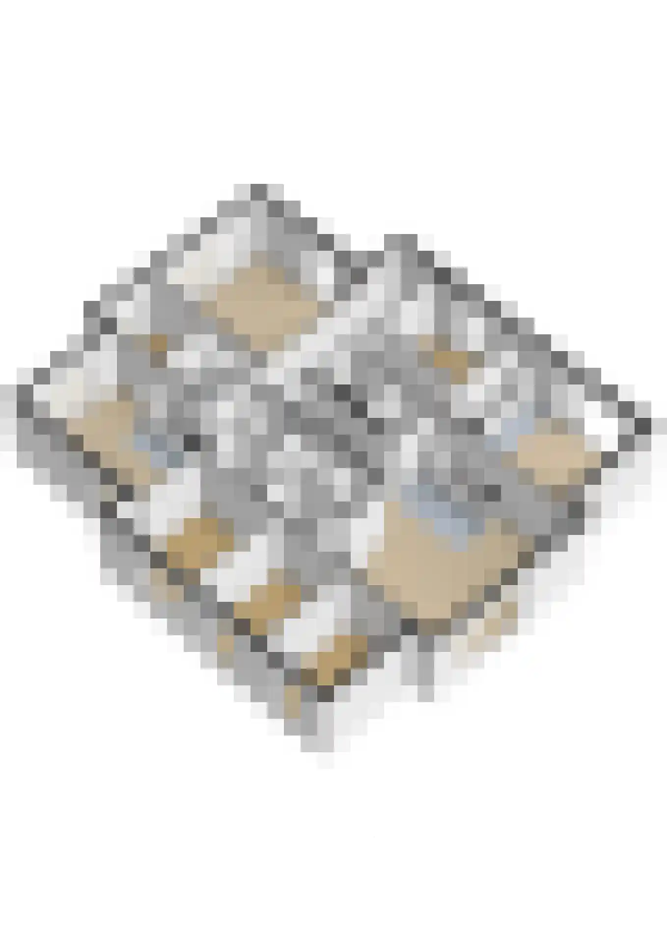 Beeklaan 4 Oldebroek thumbnail 32