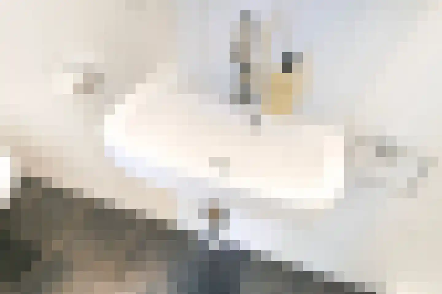 Beeklaan 404 Den Haag thumbnail 37