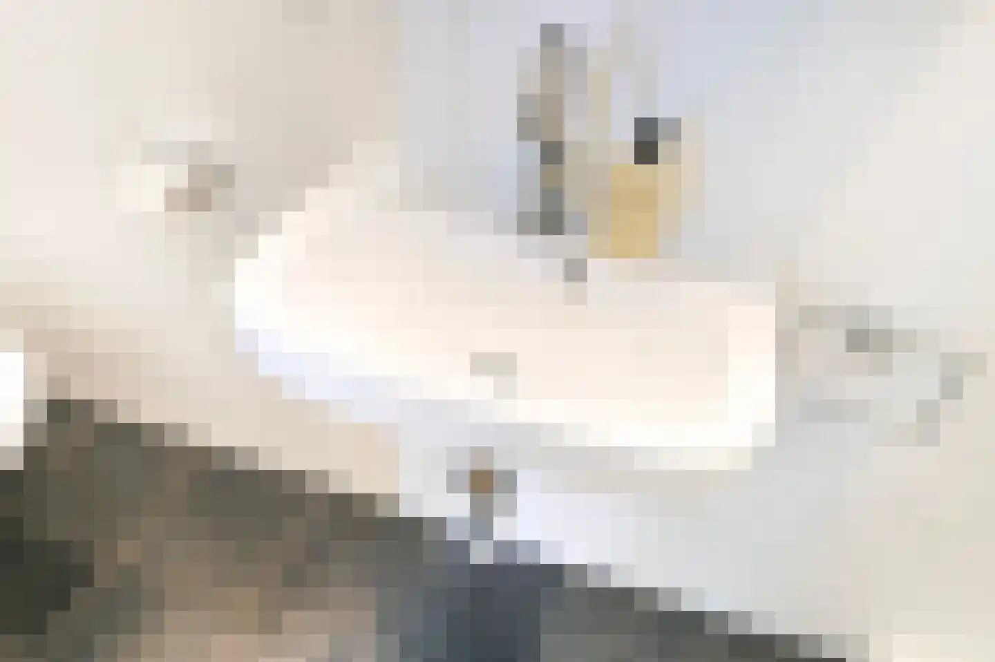 Beeklaan 404 Den Haag thumbnail 38