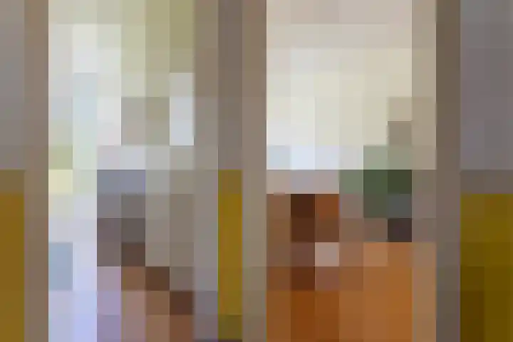Beeklaan 432 Den Haag thumbnail 16