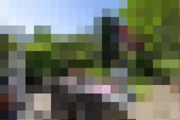 Beeklaan 432 Den Haag thumbnail 17