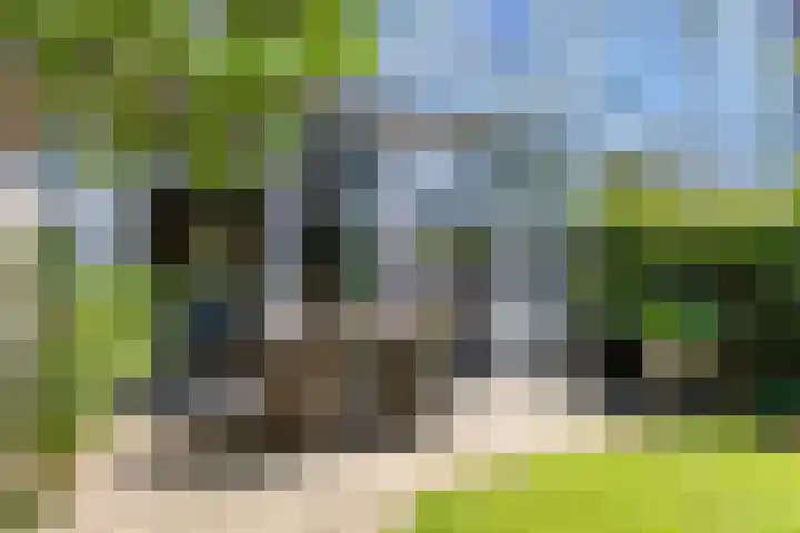 Beeklaan 432 Den Haag thumbnail 19
