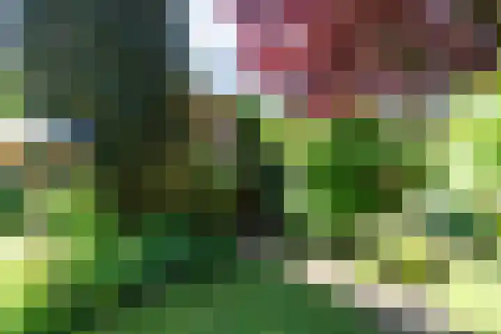 Beeklaan 432 Den Haag thumbnail 20