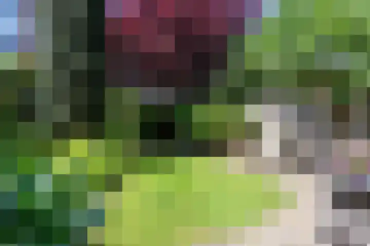Beeklaan 432 Den Haag thumbnail 21