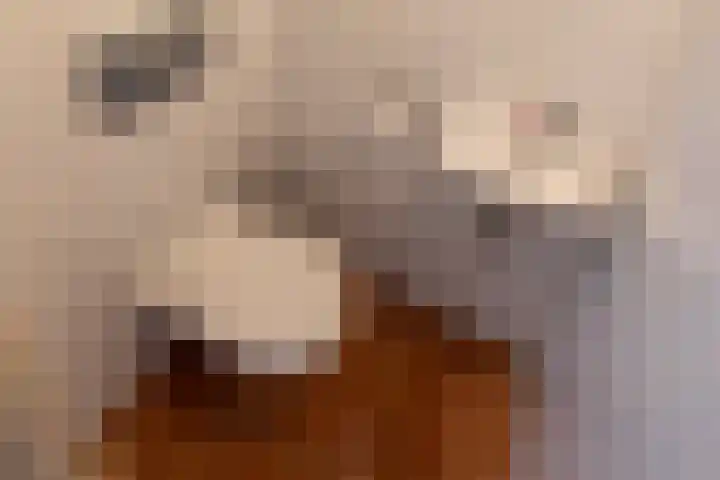 Beeklaan 432 Den Haag thumbnail 37