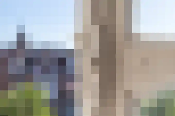Beeklaan 432 Den Haag thumbnail 59