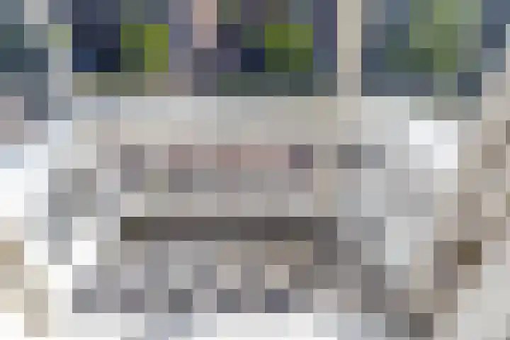 Beeklaan 432 Den Haag thumbnail 60