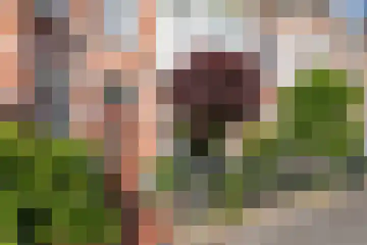 Beeklaan 432 Den Haag thumbnail 64