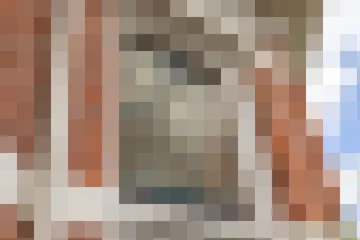 Beeklaan 432 Den Haag thumbnail 66