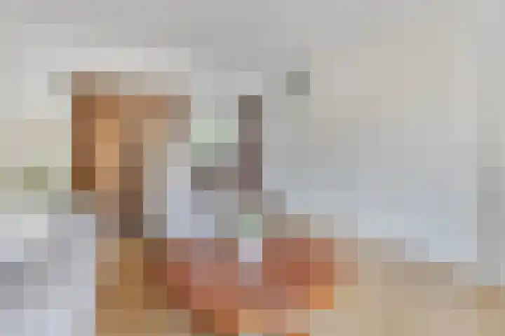 Beeklaan 44 Tilburg thumbnail 10