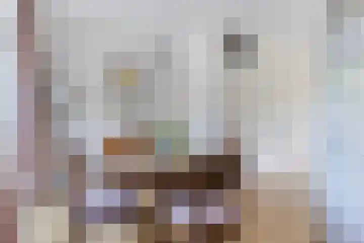 Beeklaan 44 Tilburg thumbnail 15