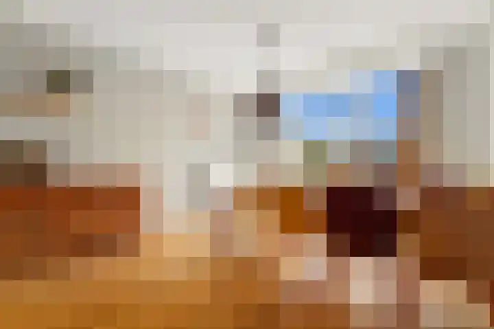 Beeklaan 454 C Den Haag thumbnail 12