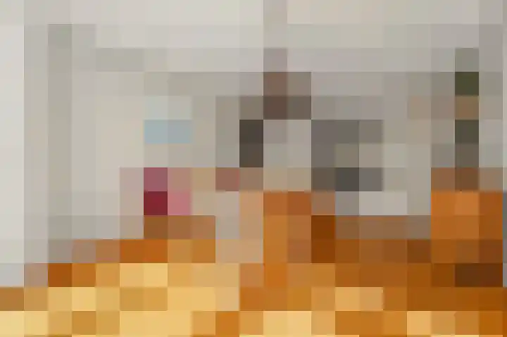 Beeklaan 454 C Den Haag thumbnail 13
