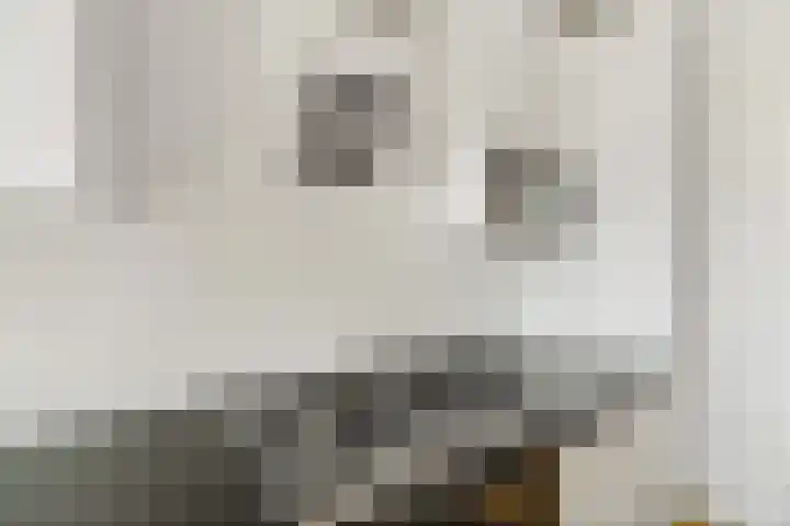 Beeklaan 454 C Den Haag thumbnail 16