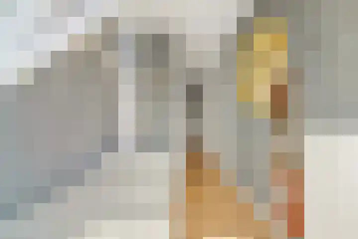 Beeklaan 454 C Den Haag thumbnail 28