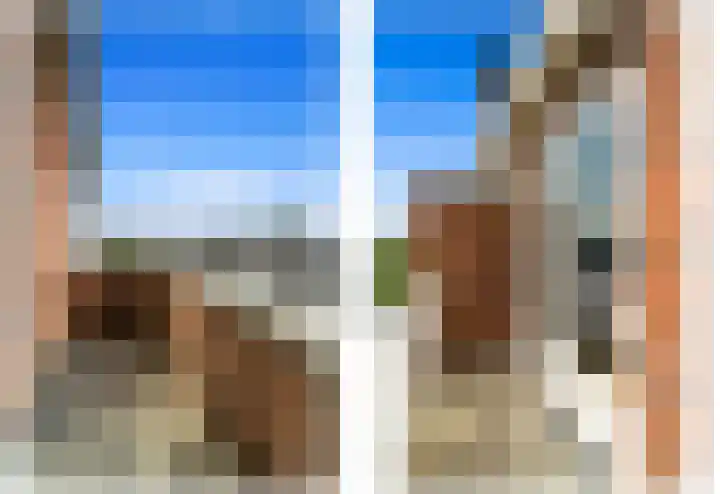 Beeklaan 454 C Den Haag thumbnail 29