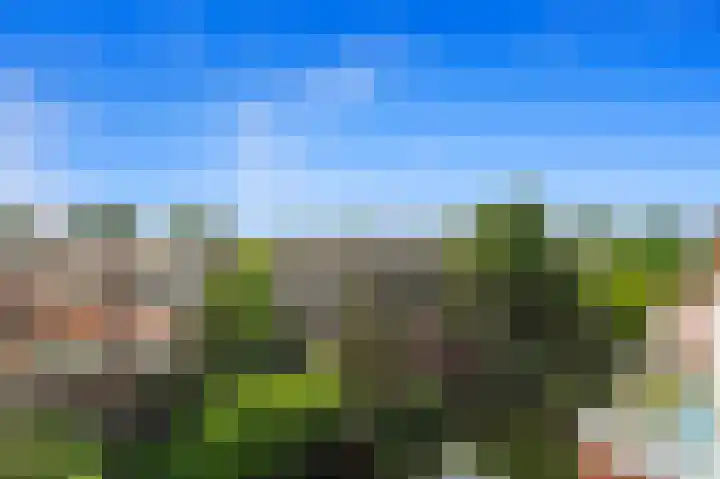 Beeklaan 454 C Den Haag thumbnail 32
