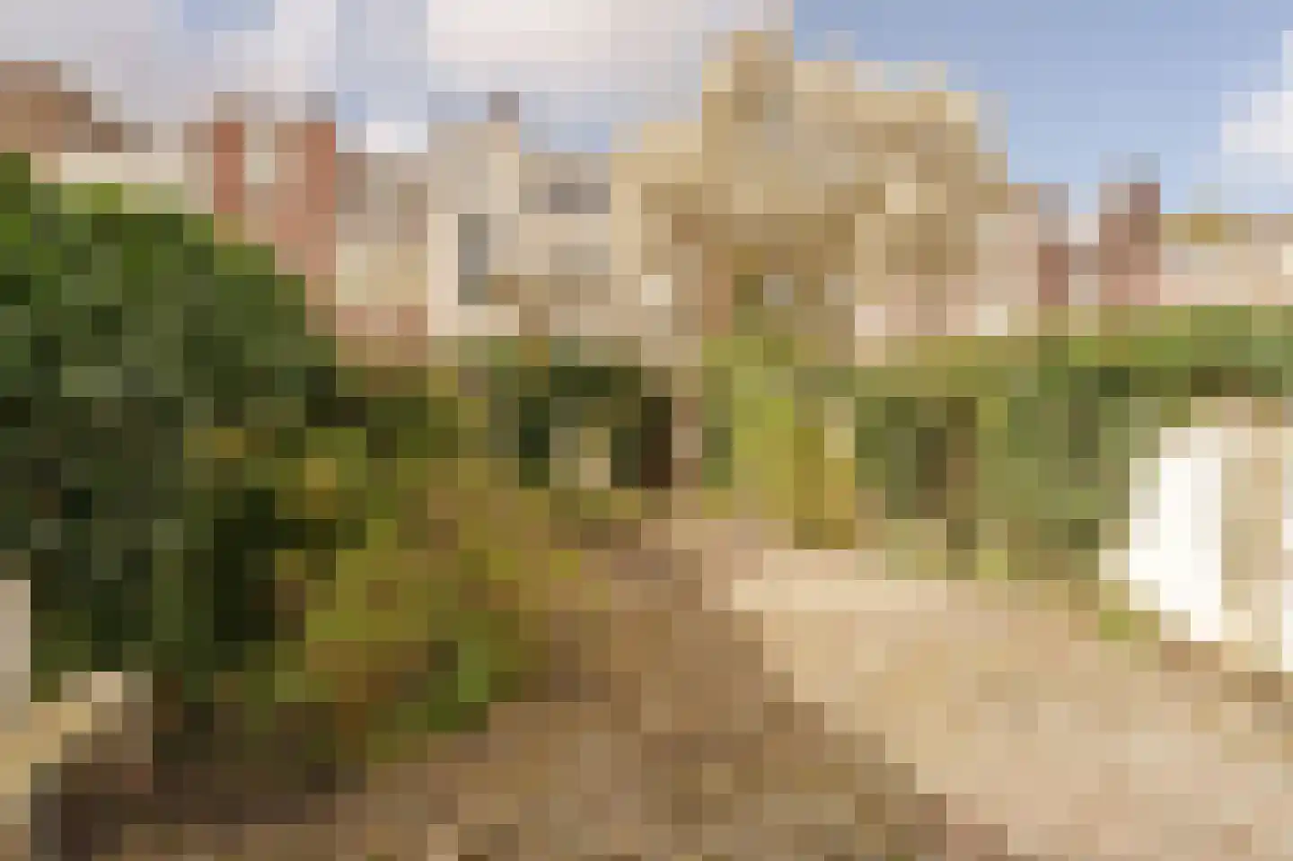 Beeklaan 492 Den Haag thumbnail 20