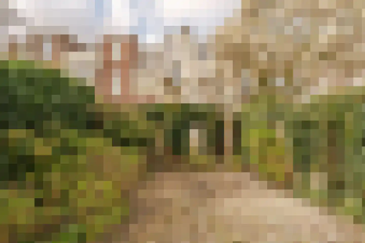 Beeklaan 492 Den Haag thumbnail 21