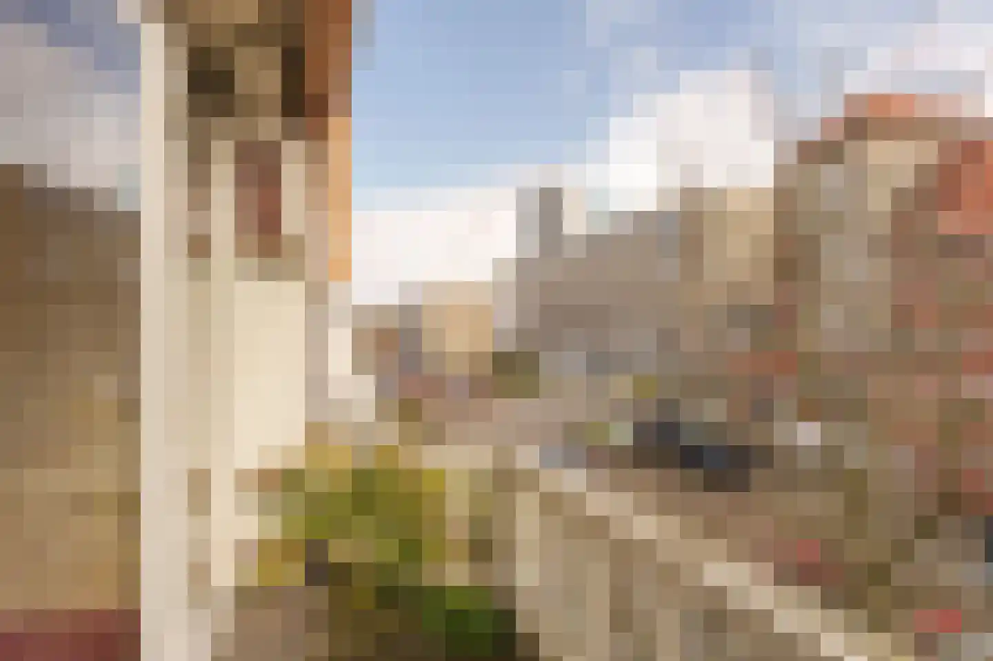 Beeklaan 492 Den Haag thumbnail 32