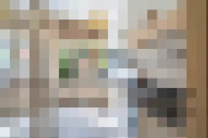 Beeklaan 502 Den Haag thumbnail 14